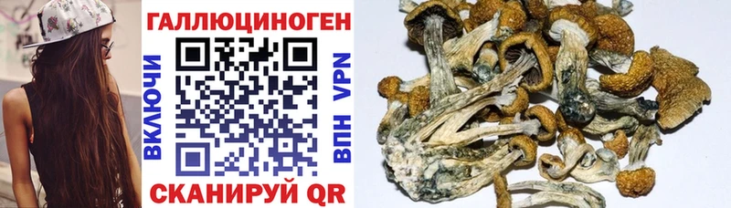 Галлюциногенные грибы мухоморы  купить наркоту  Набережные Челны 